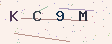 验证码